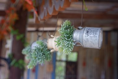 DIY Vertical Gardening