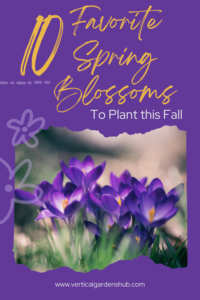 10 Favorite Spring Blooms