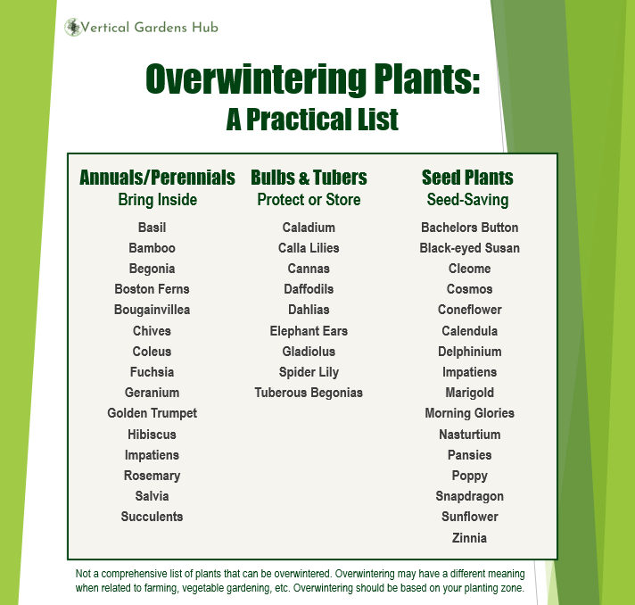 Overwintering Plants Chart