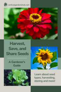 Seed Saving: A Gardner's Guide