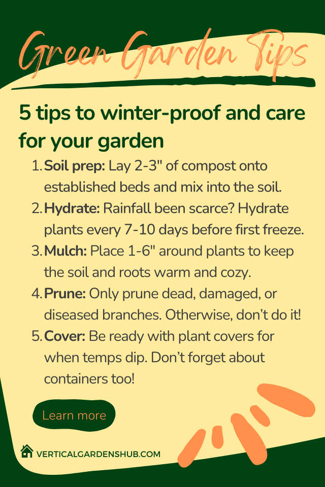 Protecting Plants in Winter